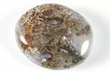Polished Moss Agate Pocket Stones  - Photo 2